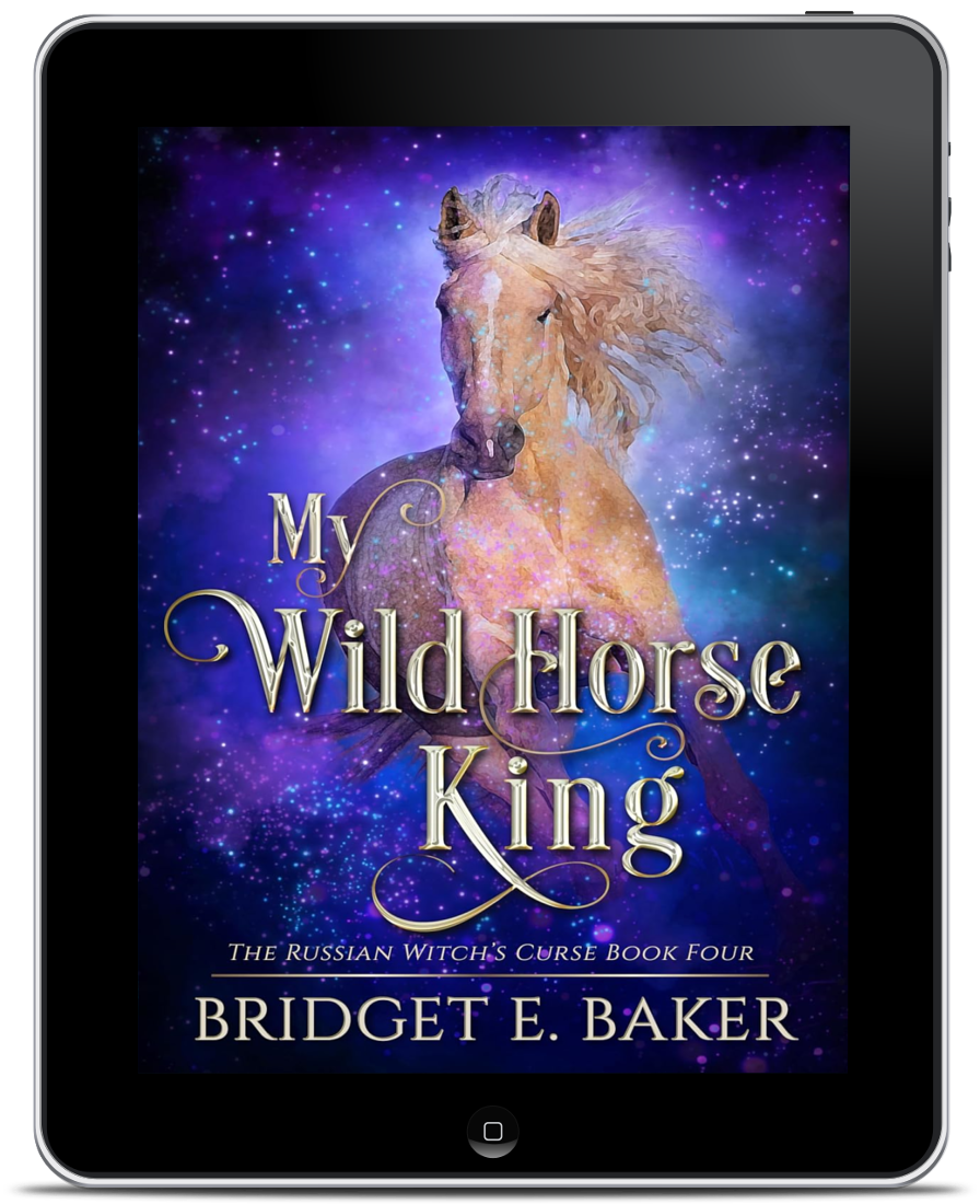 My Wild Horse King