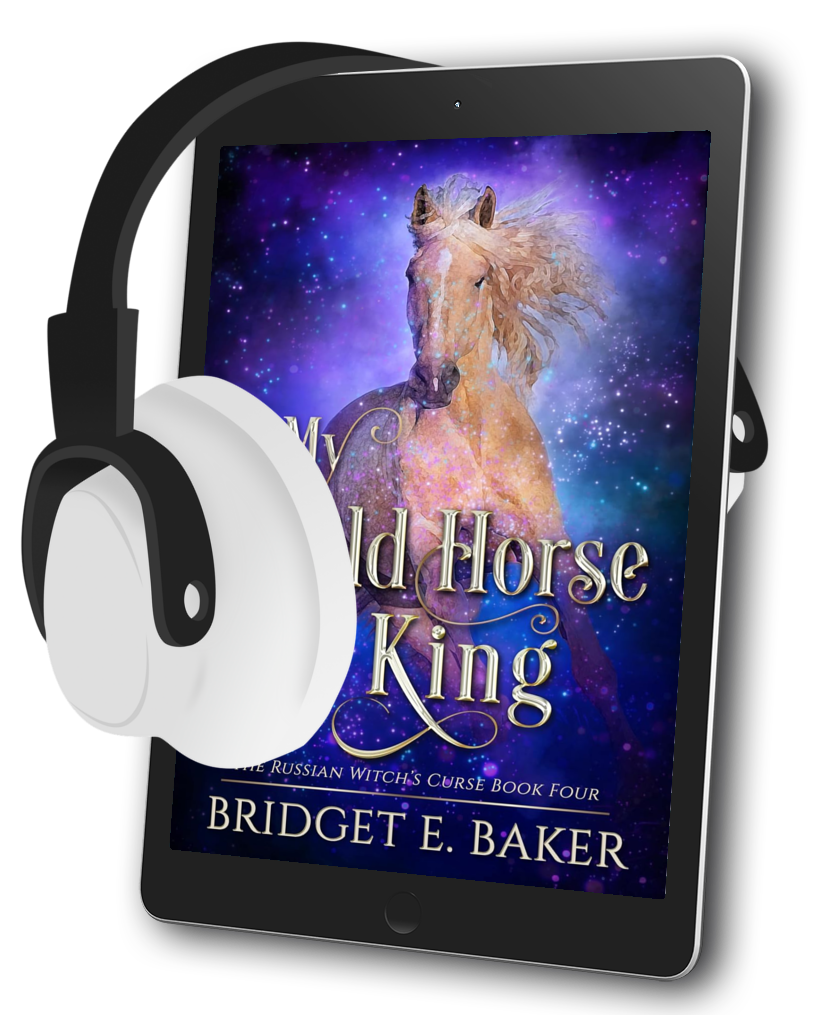 My Wild Horse King
