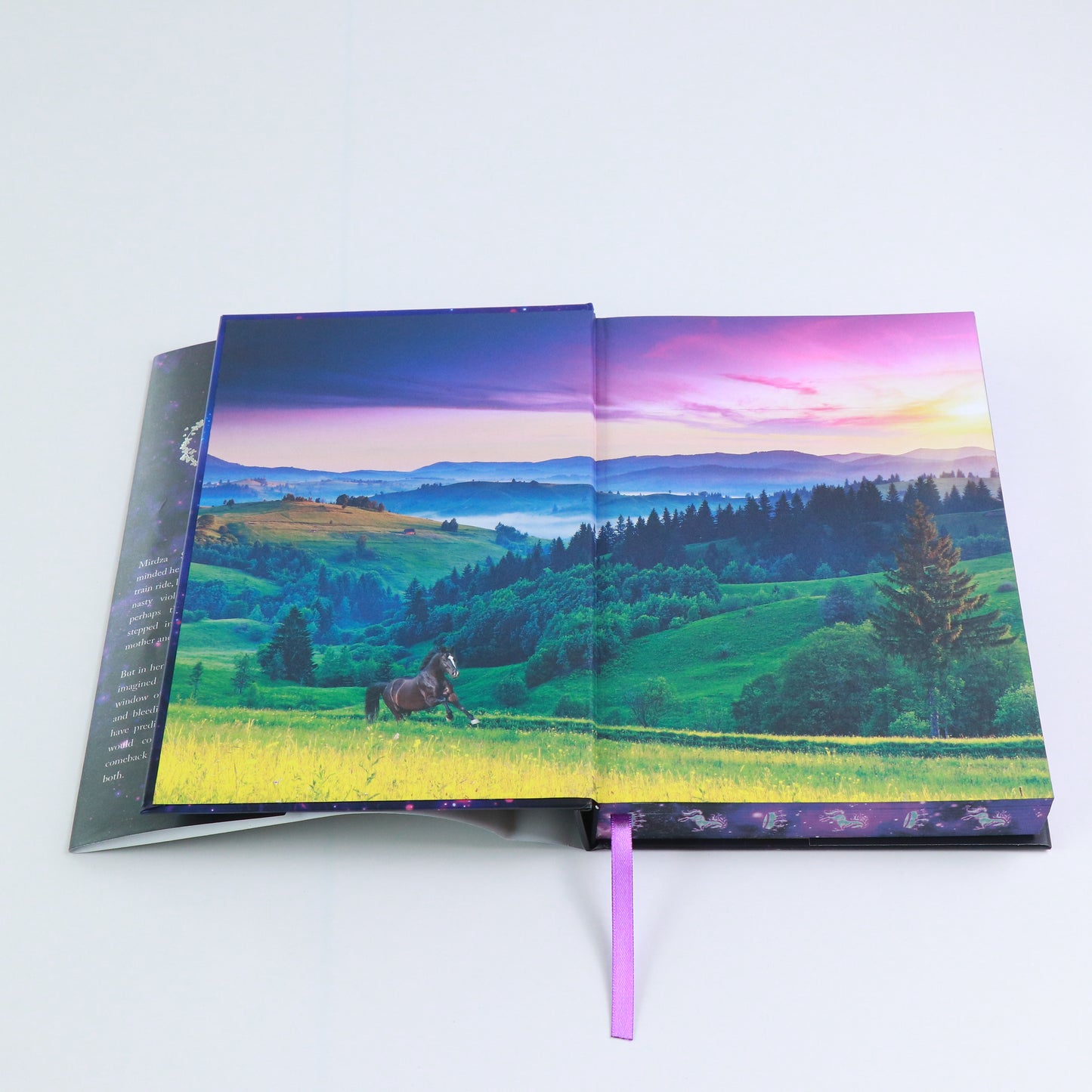 My Dark Horse Prince **Special Edition Hardback**