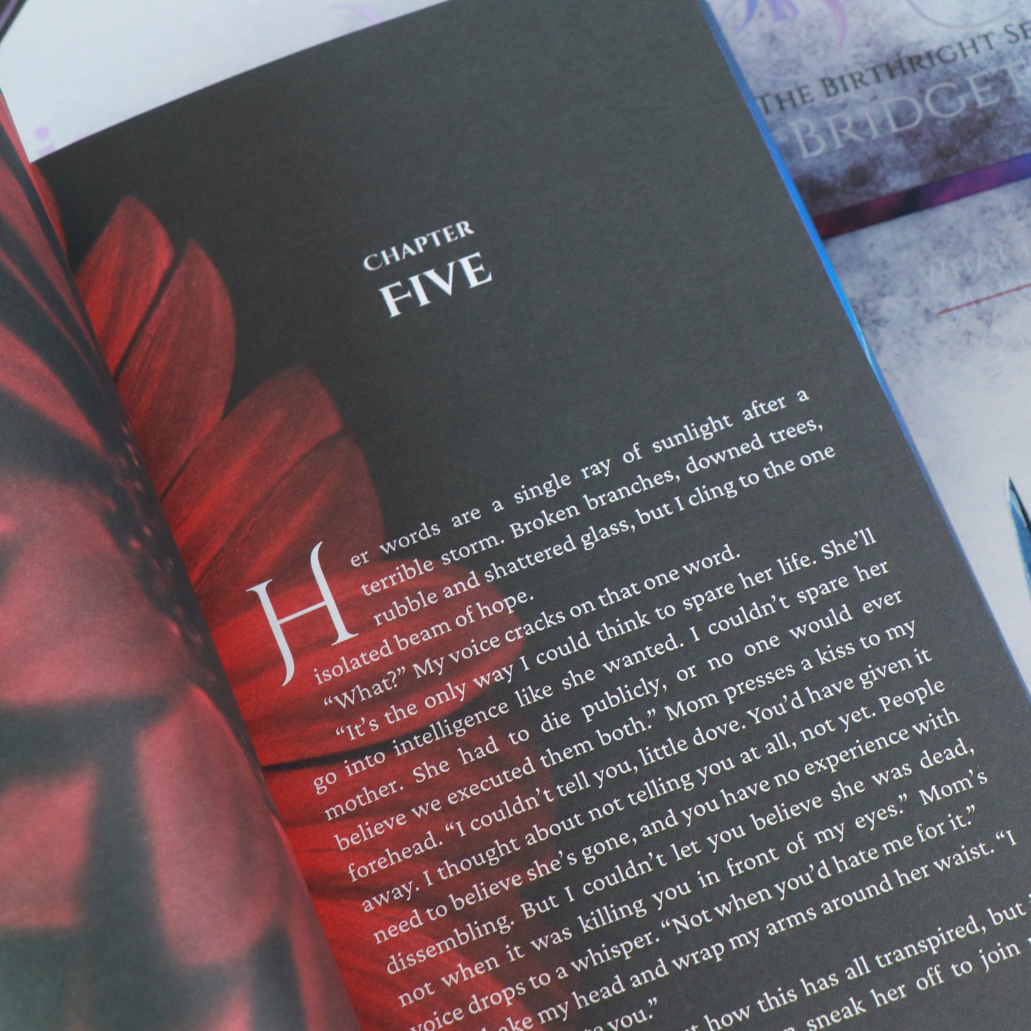 The Birthright Series BUNDLES