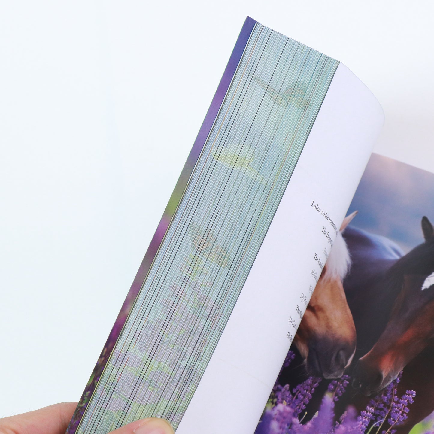 Horse Lover's Special Edition Bundle