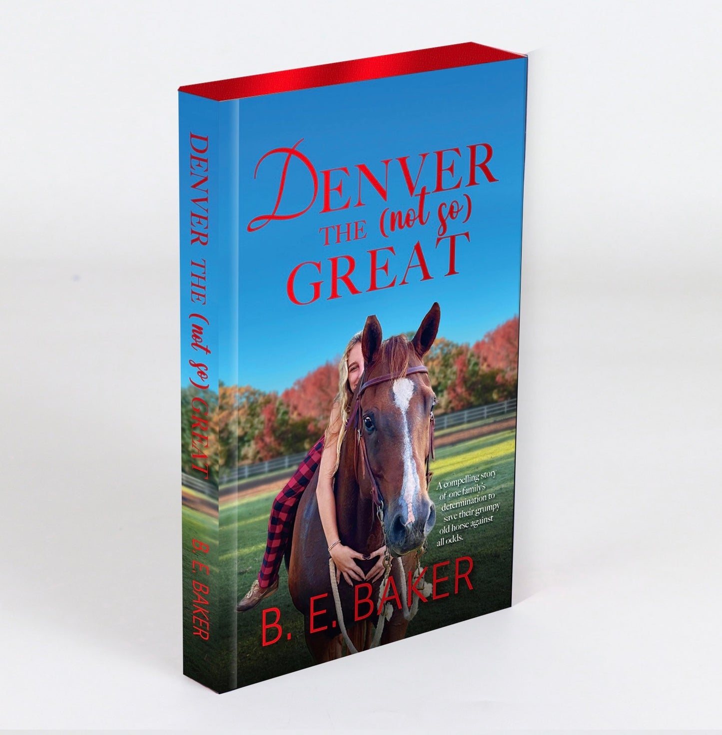 Denver Bundles