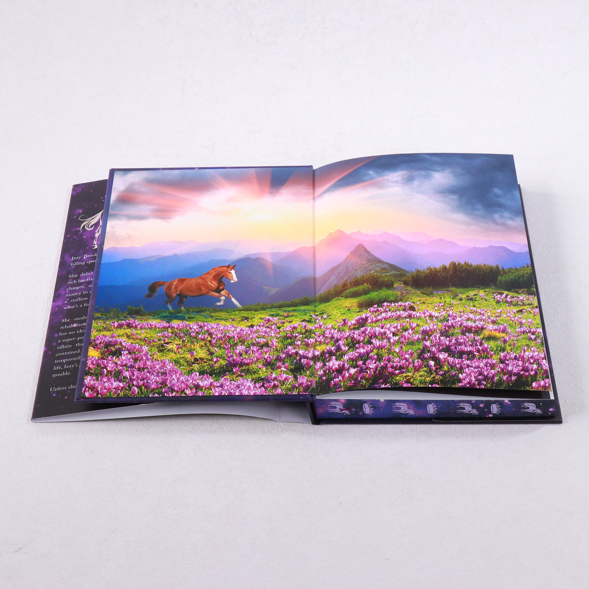 EXCLUSIVE Pre-Order Special Editions - Irish Escape 3 & Russian Witch's Curse 5&6 PLUS MUG