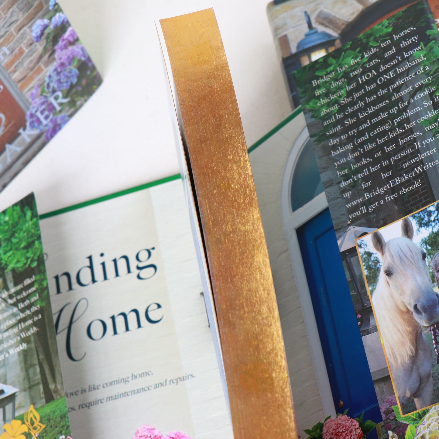 The Finding Home Series Special Edition Bundles