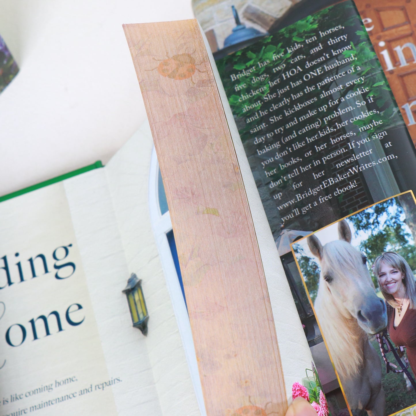 The Finding Home Series Special Edition Bundles