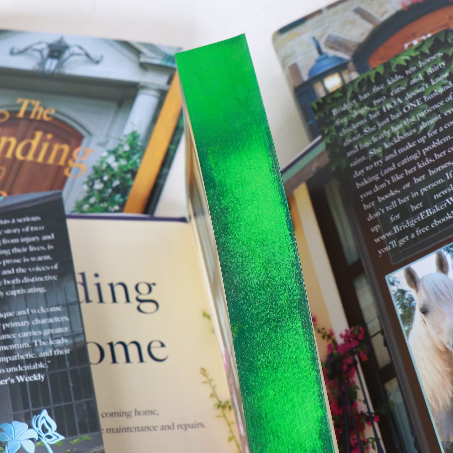 The Finding Home Series Special Edition Bundles