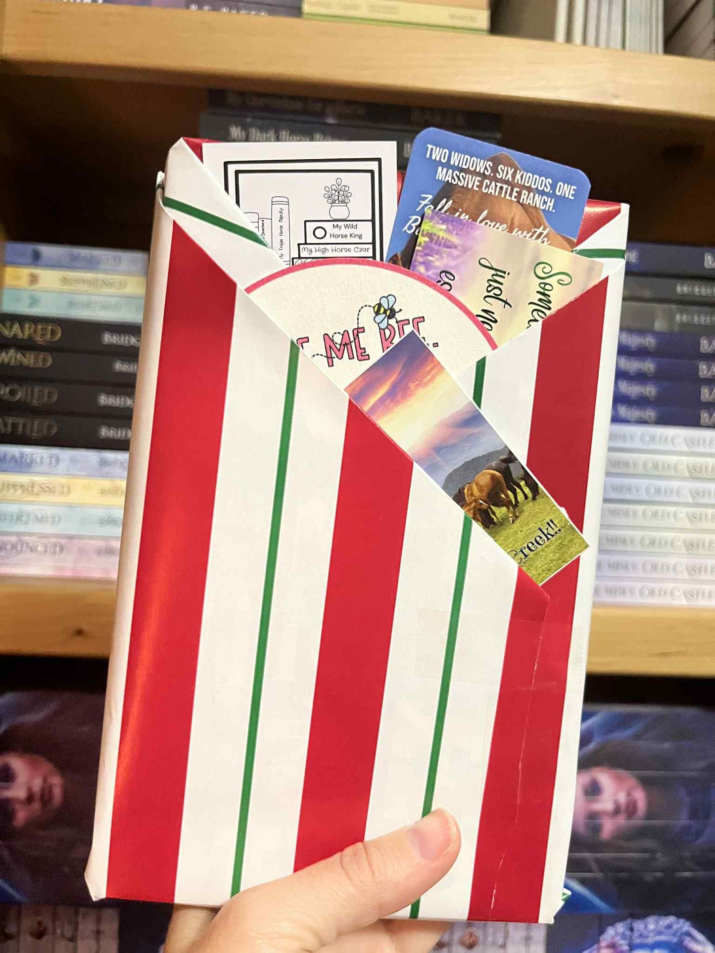 Blind Date with a Book - Surprise Paperback