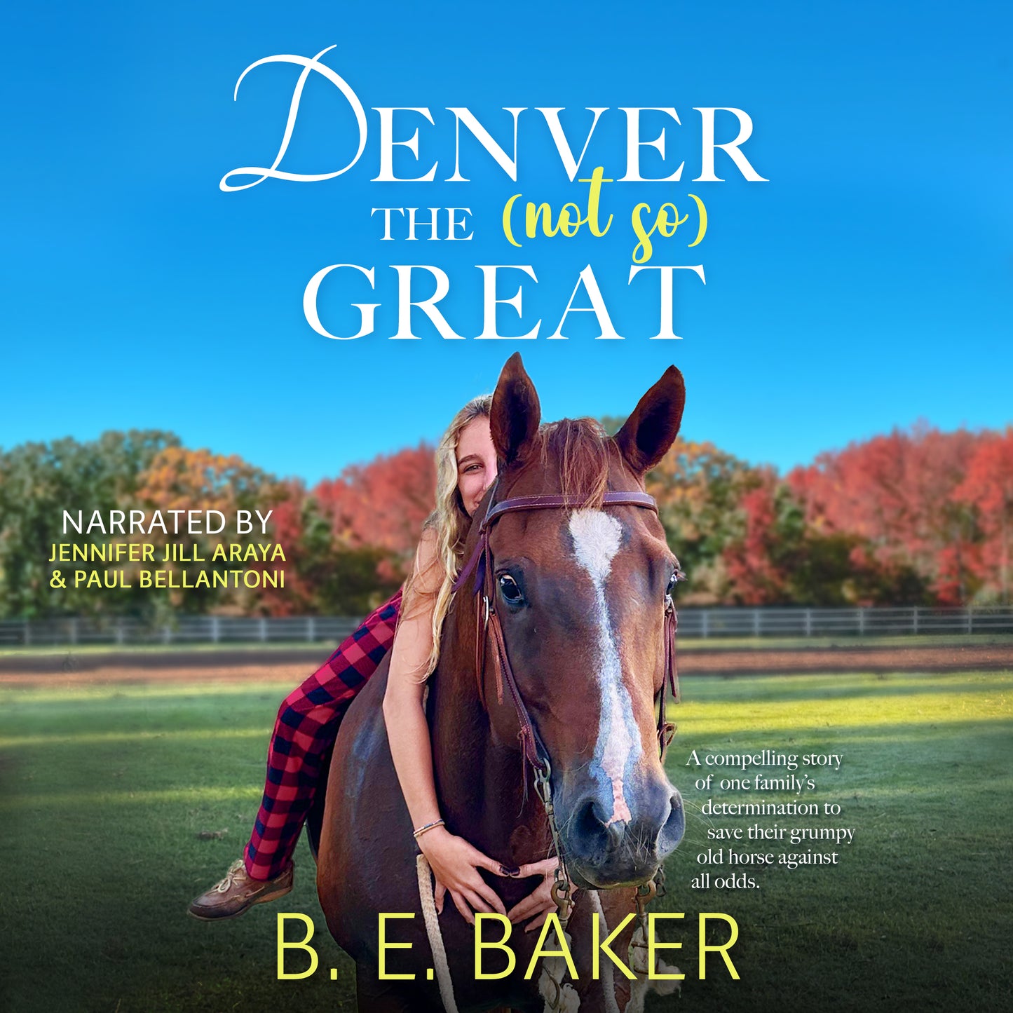 Denver Bundles